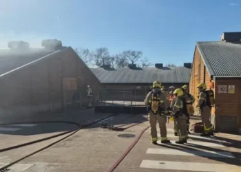 Nantwich Turkey Farm Fire: Thousands of Birds Killed