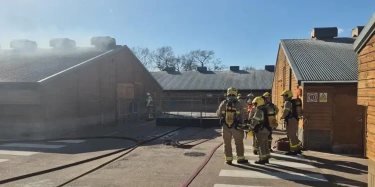 Nantwich Turkey Farm Fire: Thousands of Birds Killed