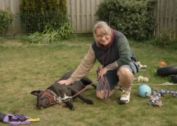 Owner Fears Losing Dog Amid XL Bully Insurance Cut 2026