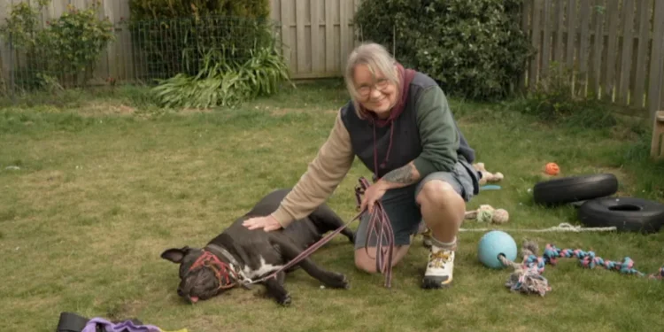 Owner Fears Losing Dog Amid XL Bully Insurance Cut 2026