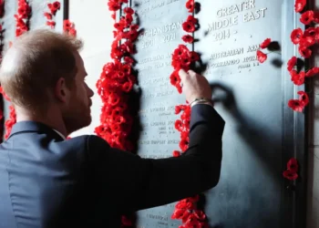 Prince Harry-Children Should Be an 'Upgrade' of Their Parents