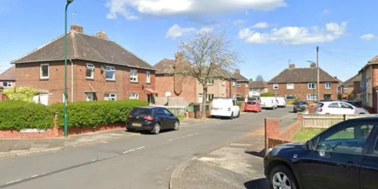 Redcar Dog Attack 2026: Child Dies at Property in Dormanstown