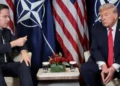 Trump NATO Critique 2026: Rutte Describes 'Very Frank' Meeting