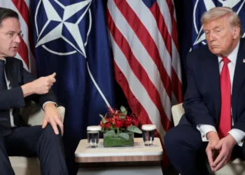 Trump NATO Critique 2026: Rutte Describes 'Very Frank' Meeting