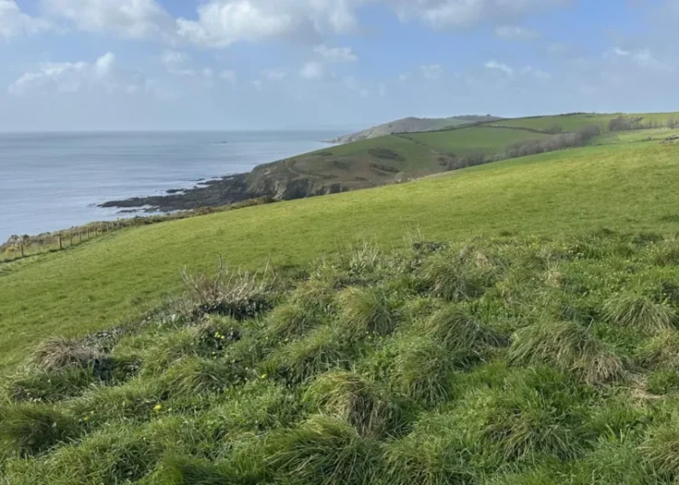 Vicar's Estate Gift South West Coast Path 2026: Land Secured