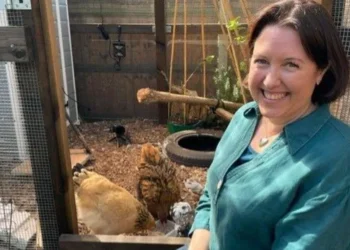 bird flu vaccine trial