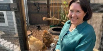 bird flu vaccine trial