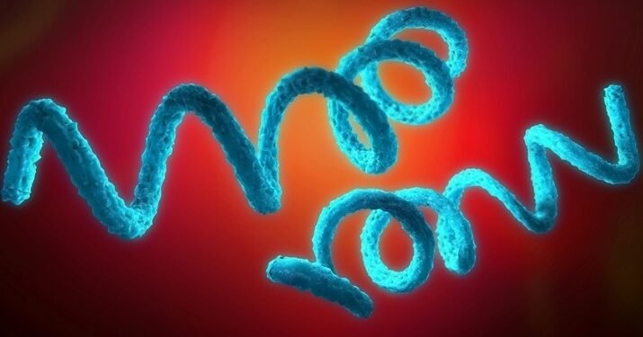 New Bacteria Discovery Offers Hope Against Noma