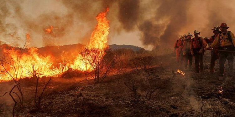 Evacuations Ordered as California Wildfires Spread Fast
