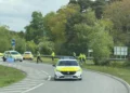 horses loose on major road A338