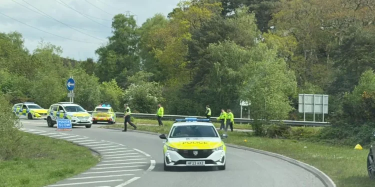 horses loose on major road A338