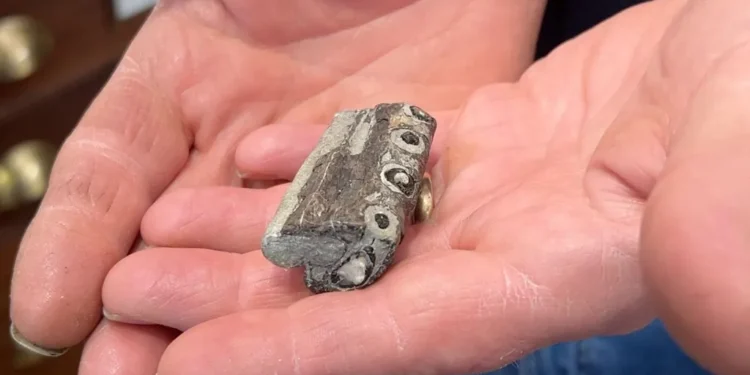 oldest sea crocodile fossil discovery