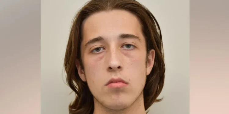 Alfie Coleman neo-nazi terror conviction 2026 MI5 sting