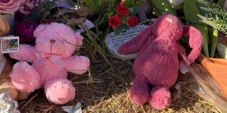 Australian girl alleged murder child protection workers stood down