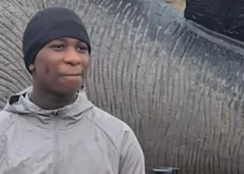 Eghosa Ogbebor murder charge 2026 Woolwich