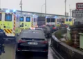 French passenger hantavirus symptoms 2026