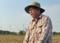 Iran war impact on Asia food security 2026 fertilizer rice