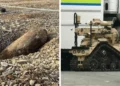 Plymouth bomb explosion 2026 Keyham WWII device