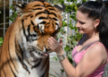 Tiger Escape Shatters Peace in Germany