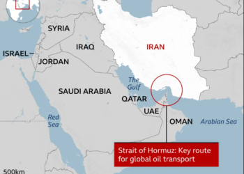 Trump pause Strait of Hormuz Project Freedom May 2026