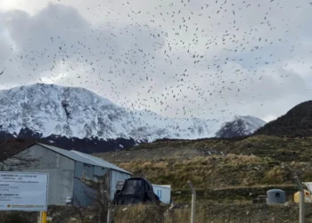 Ushuaia hantavirus outbreak denial 2026