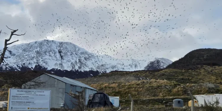 Ushuaia hantavirus outbreak denial 2026