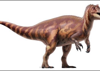 Germany to Return Rare Irritator Dinosaur Skull to Brazil