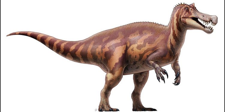 Germany to Return Rare Irritator Dinosaur Skull to Brazil