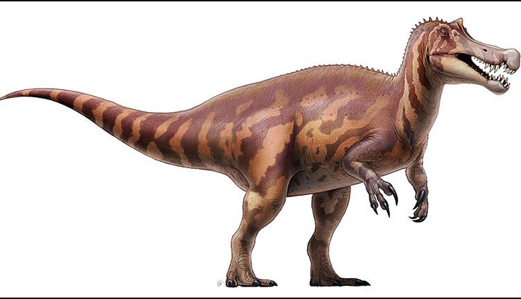 Germany to Return Rare Irritator Dinosaur Skull to Brazil