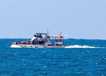 Activists allege abuse after Gaza flotilla seizure