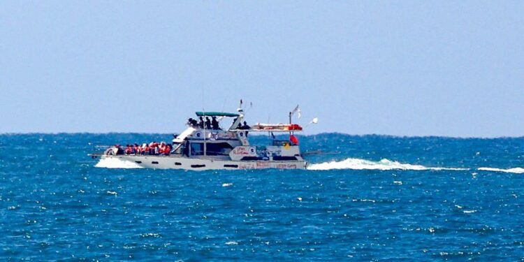 Activists allege abuse after Gaza flotilla seizure