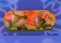 magic mushrooms help quit smoking 2026 study