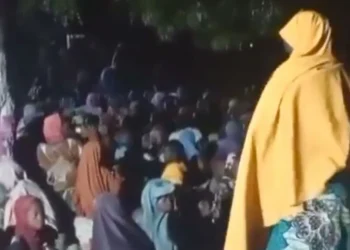Boko Haram captives freed