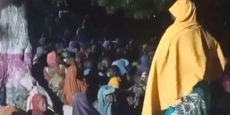 Boko Haram captives freed