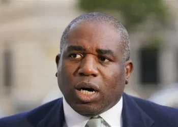 Lammy JD Vance Nowak comments
