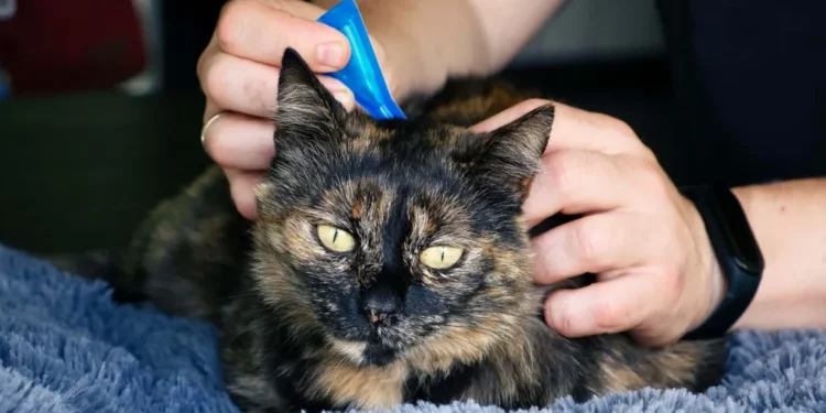 flea treatment ban pets veterinarians