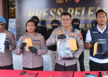 poison satay mother-in-law murder accused