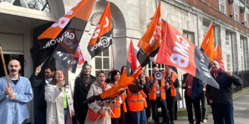 BMA Faces Unprecedented Staff Cuts Amidst Severe Financial Turmoil