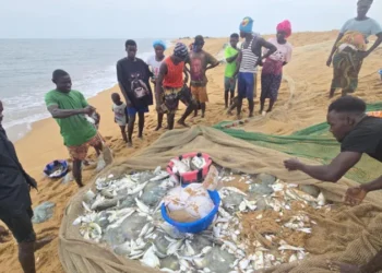 African fishermen Chinese trawlers