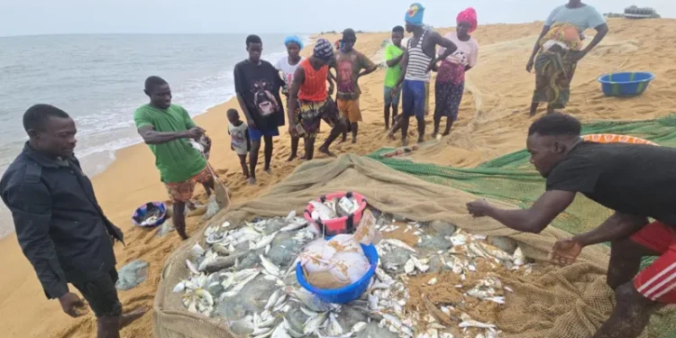 African fishermen Chinese trawlers