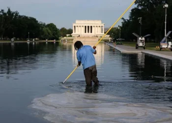 former Olympian indicted Reflecting Pool vandalism