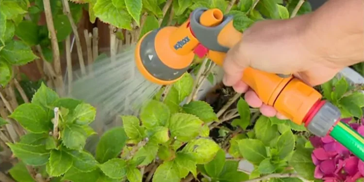 Hampshire Isle of Wight hosepipe ban