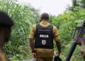Mexican cartels Nigeria meth labs