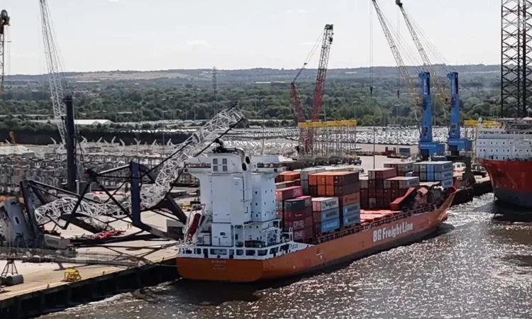 dockside crane collapse accident