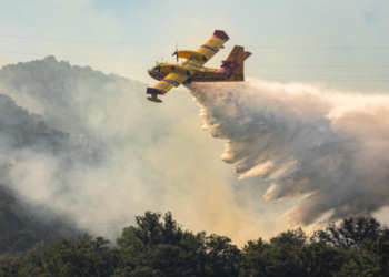Southern Europe Reels as Wildfires Force Mass Evacuations