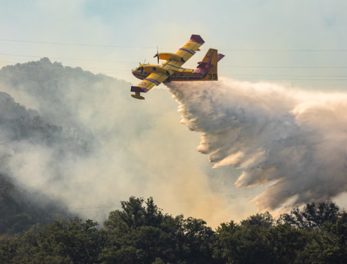 Southern Europe Reels as Wildfires Force Mass Evacuations