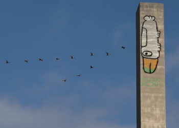The Melbourne Bird: Art or Vandalism?