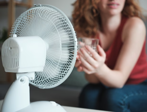 UK Power Grid Strained by Summer Heatwave