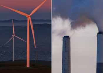 Trump’s Costly War on Renewables Sparks Energy Bill Fears