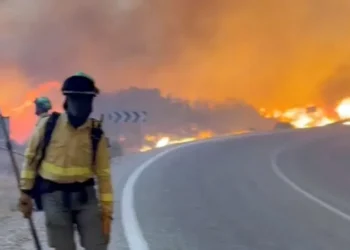 Spain wildfire 11 dead